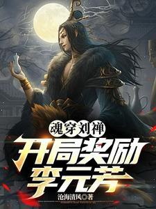 魂穿三国刘禅阅读