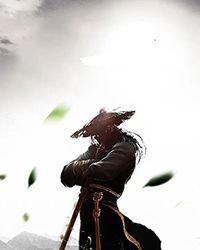 被绣球砸中后将错就错免费