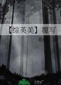 这个杀手不太冷综英美
