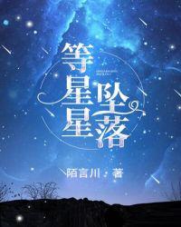 等星星坠落男主后来是什么职业