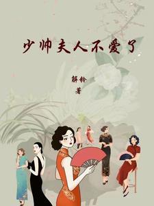 少帅夫人AI